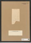 Diatomeae indet. Zeichnungen Sammlung Grunow Nr. 7749 (NHMW-BOT-W0376973)
